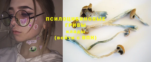 гидропоника Баксан