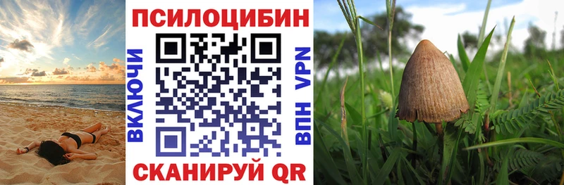 Галлюциногенные грибы GOLDEN TEACHER  Избербаш 